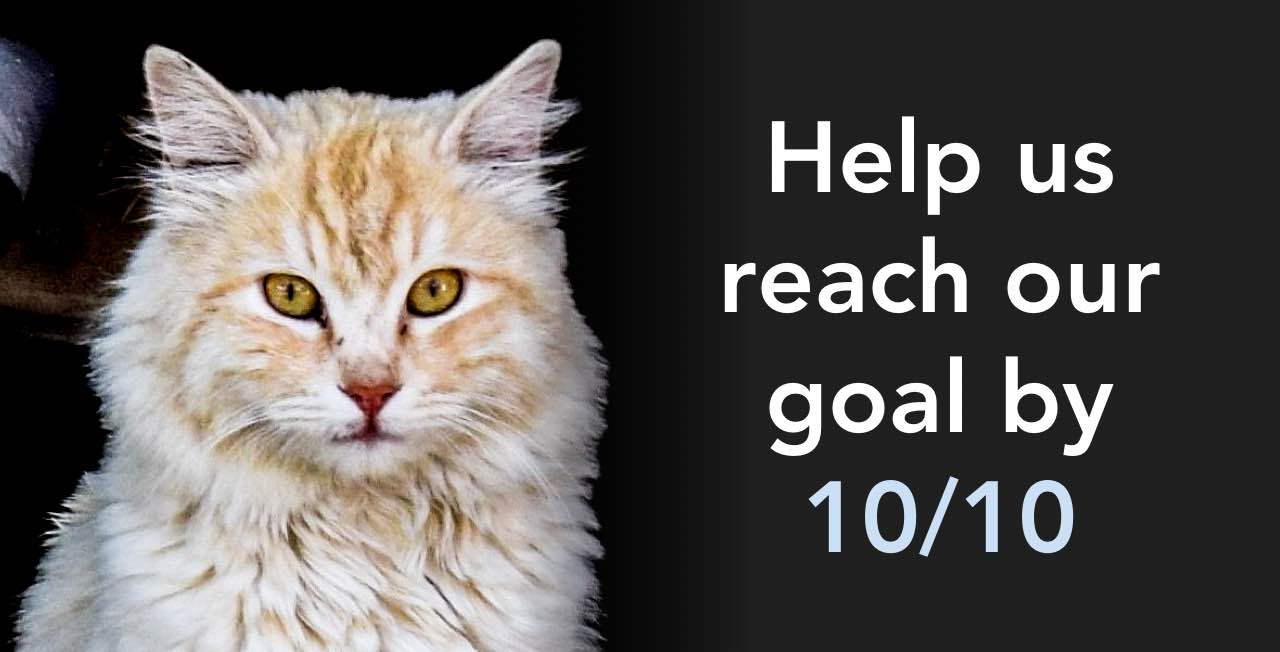 Help us reach our goal by 10/10