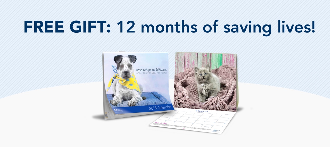 FREE GIFT: 12 months of saving lives!