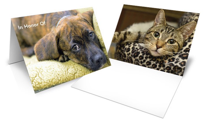 Gift card example-dog on front cover, cat on inner flap