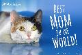 0 - Mother's Day 2017 - Best Mom In The World, cat