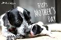 0 - Mother's Day 2017 - Happy Mother's Day