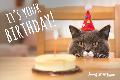 2 - Happy Birthday (cat)