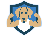 TeamRaiser Achievement Badge