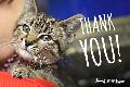 4 - Thank You (cat)