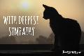 3 - With Deepest Sympathy (cat)