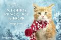 1c - 2017 Holiday eCard - Wishing Peace, Joy & Hope (cat)