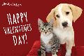 0-Valentine - Dog & Cat